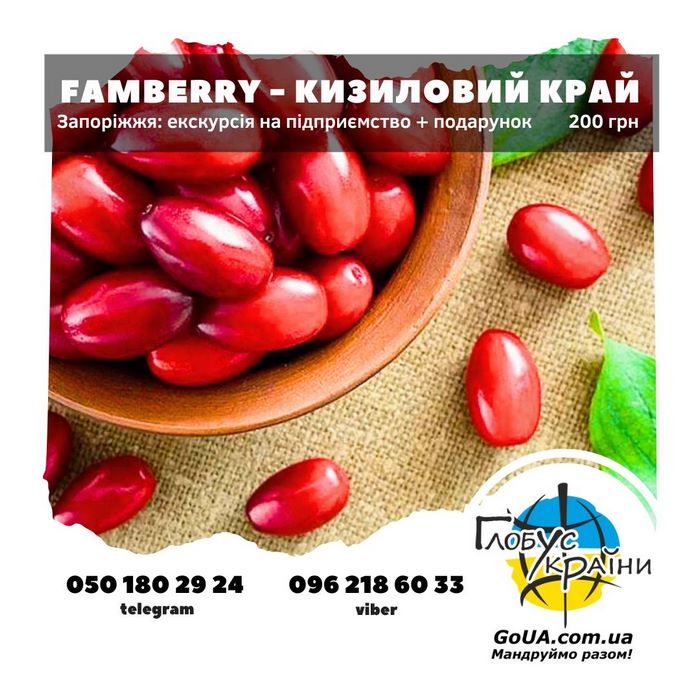 Famberry - фабрика кизилу в Запоріжжі. Екскурсія Глобус України